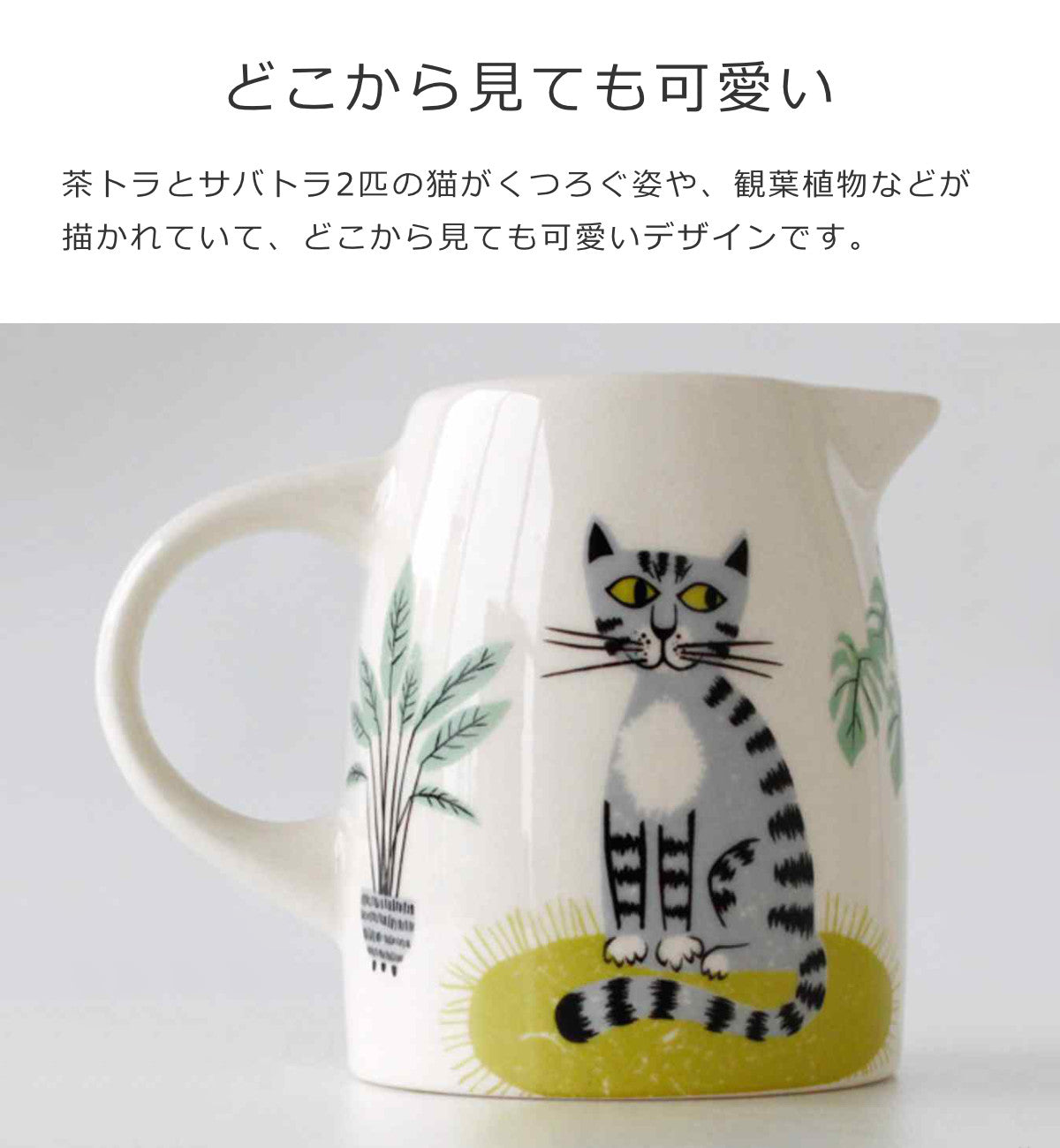 スモールジャグネコ（SmallJagCat）