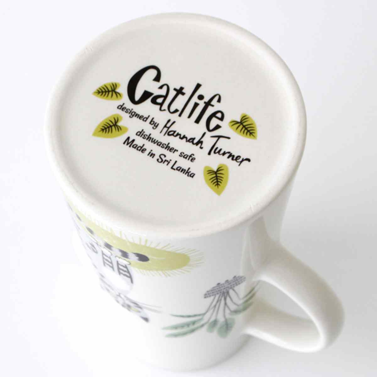 トールジャグネコ（TallJagCat）