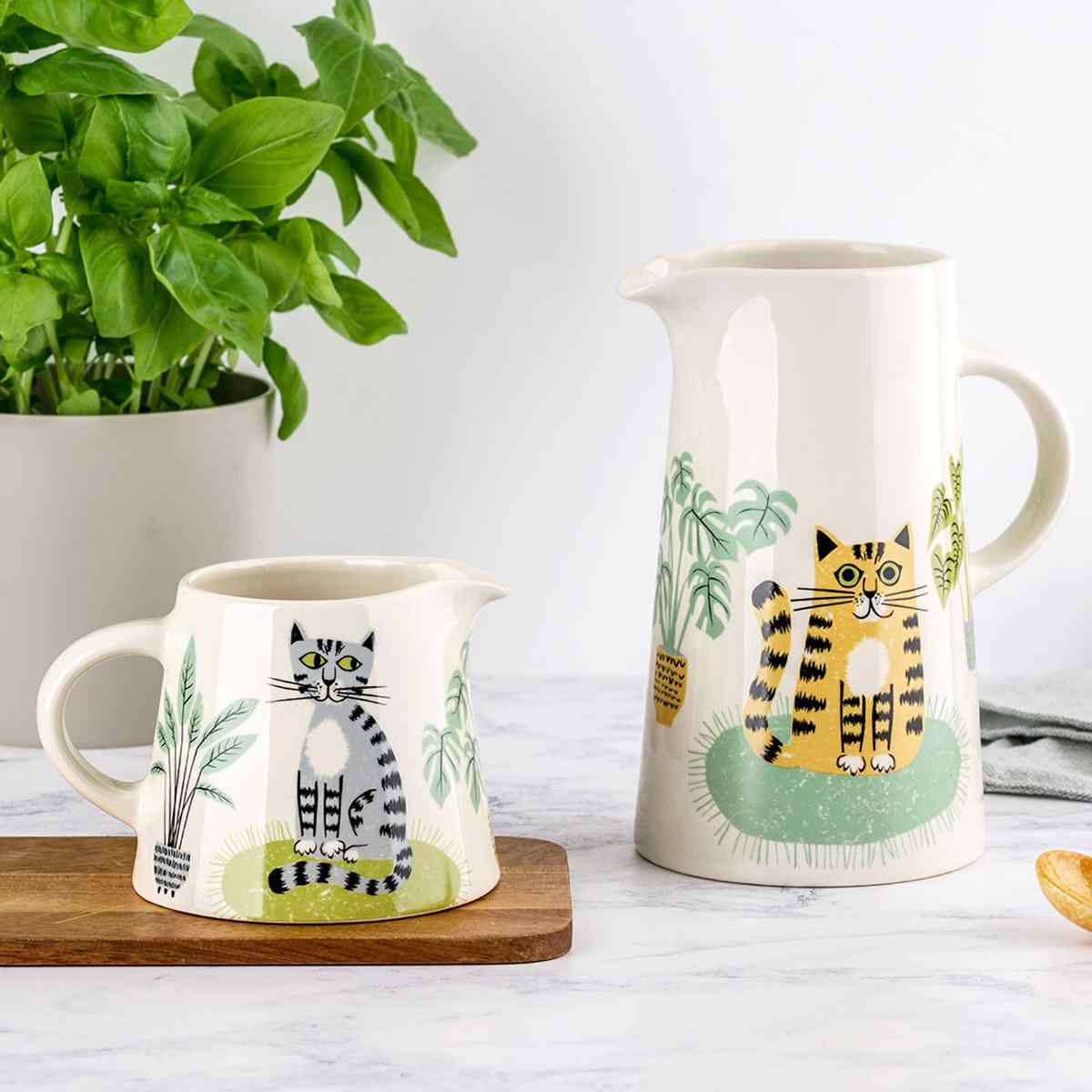 トールジャグネコ（TallJagCat）