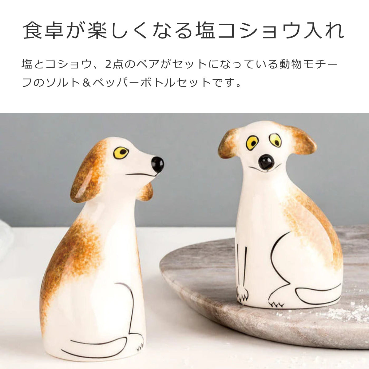 SaltandPepper調味料入れ