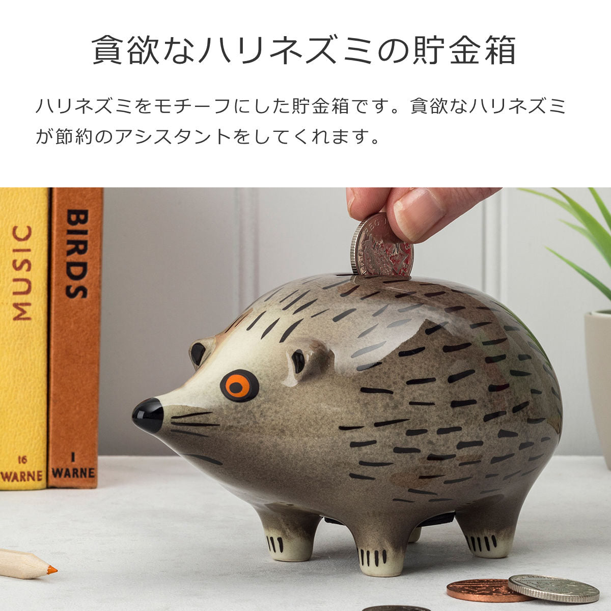 貯金箱 ハリネズミ（Money Box Hedgehog）
