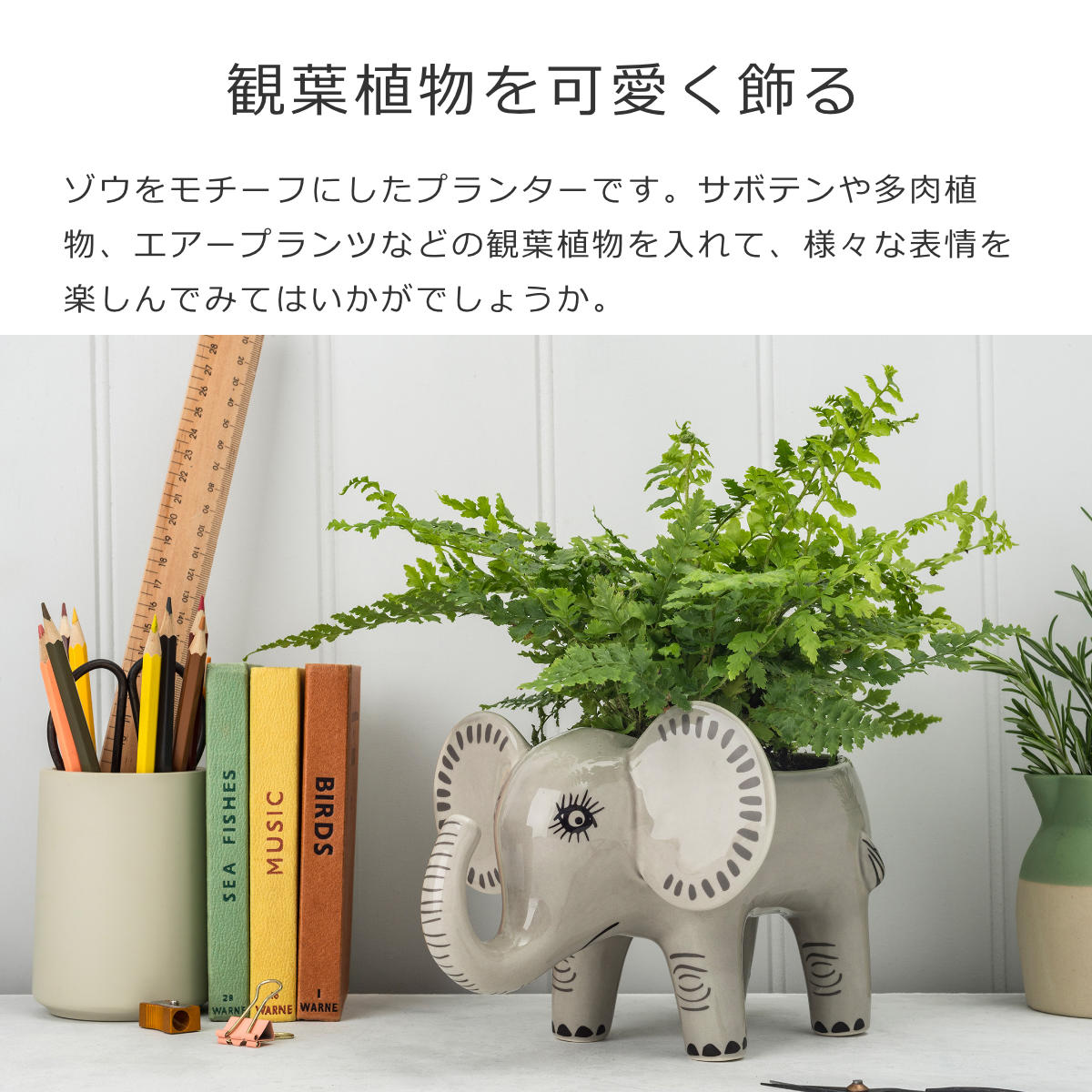 プランターエレファント（PlanterElephant）