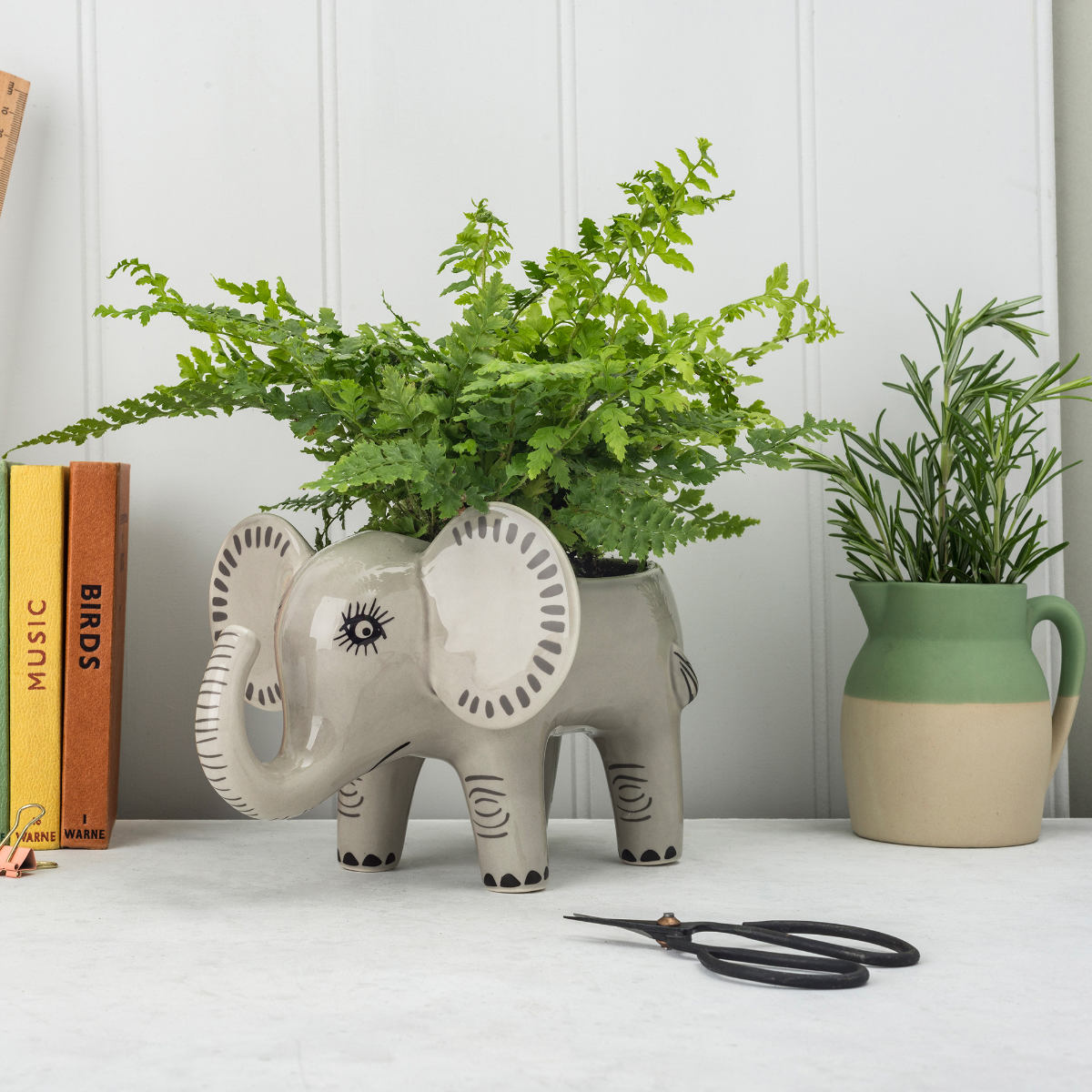 プランターエレファント（PlanterElephant）