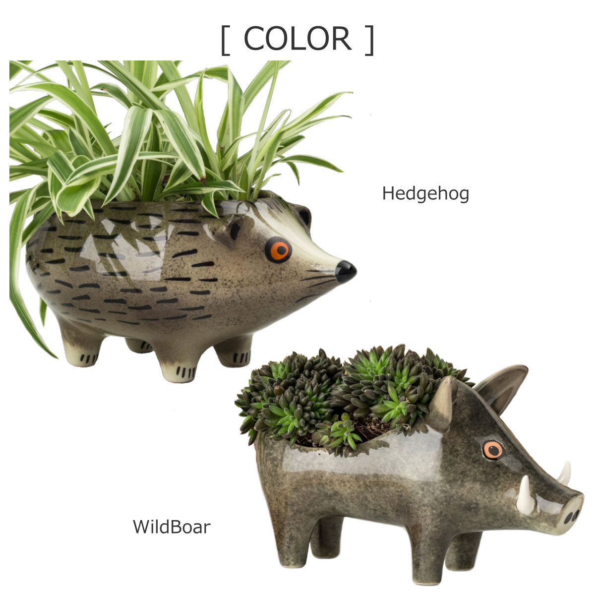 プランター（Planter）