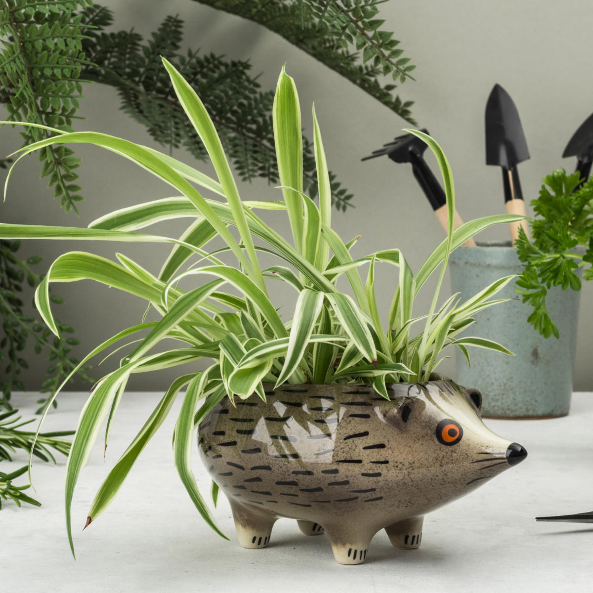 プランター（Planter）