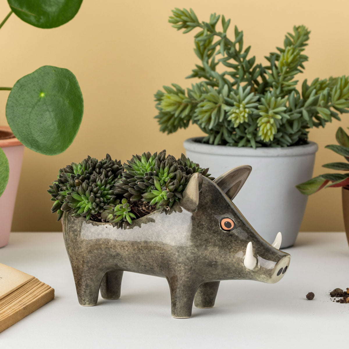 プランター（Planter）