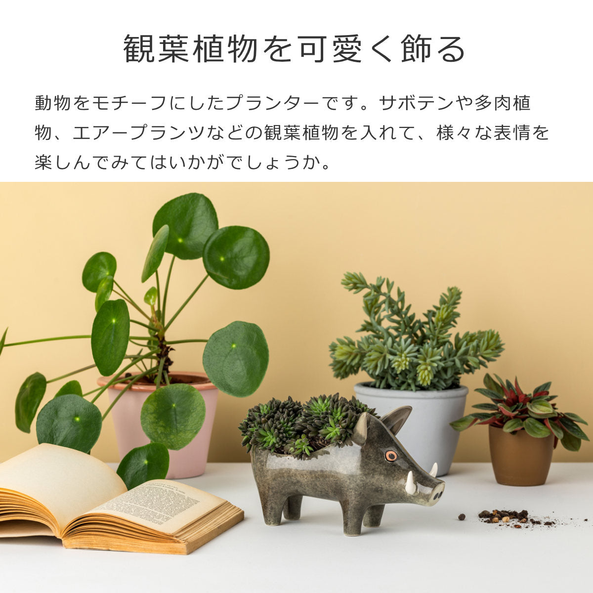 プランター（Planter）