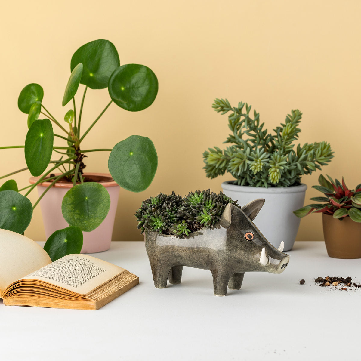 プランター（Planter）