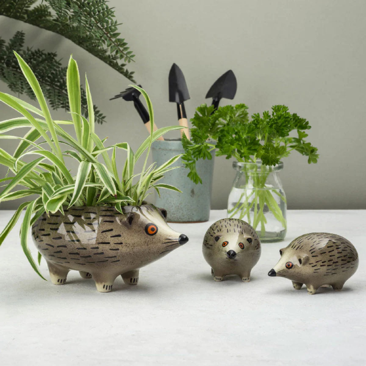 プランター（Planter）