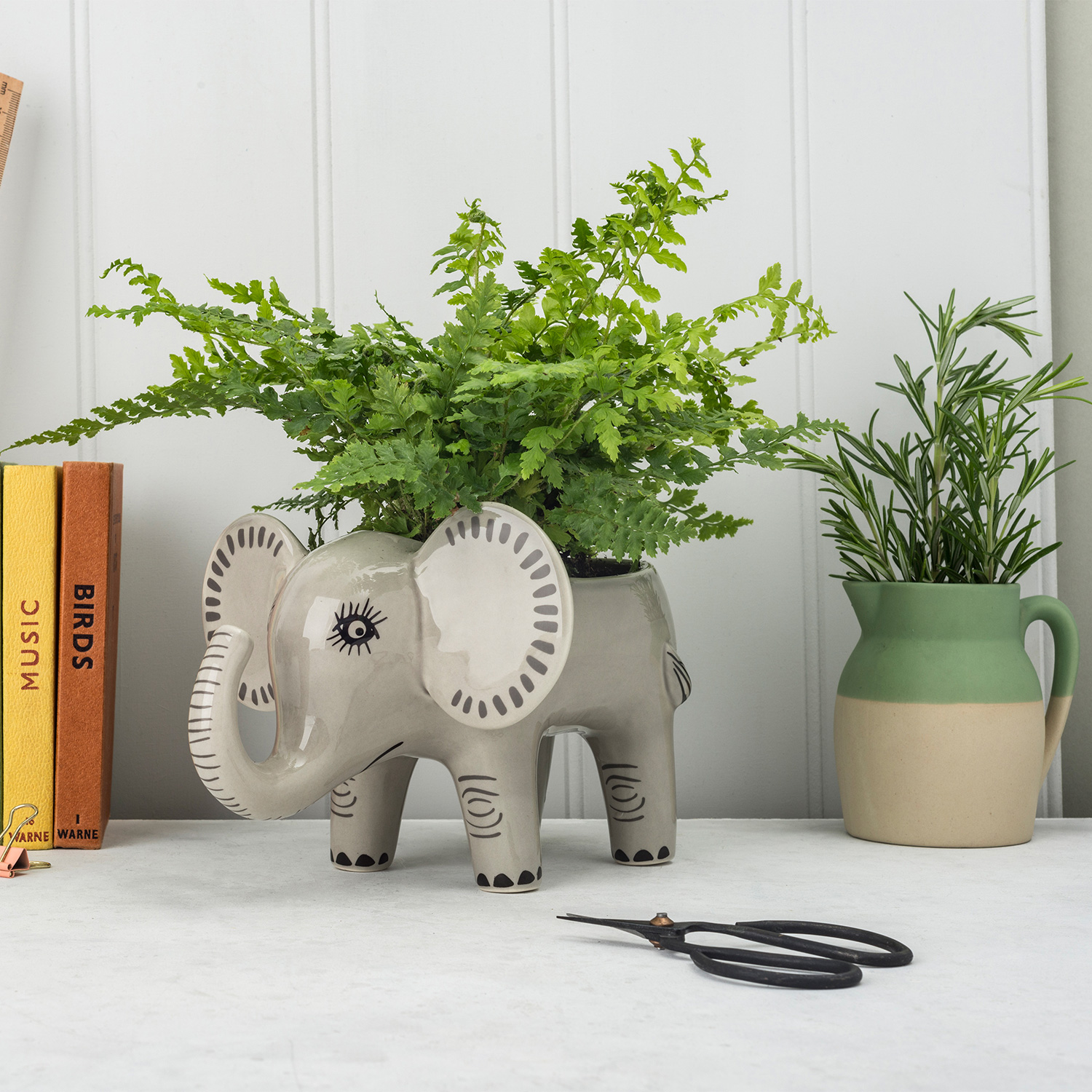 プランター/ゾウ