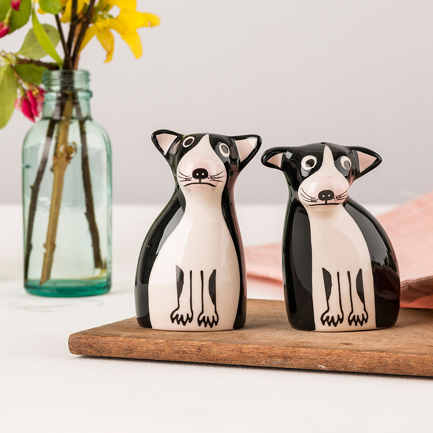 ボストン テリア