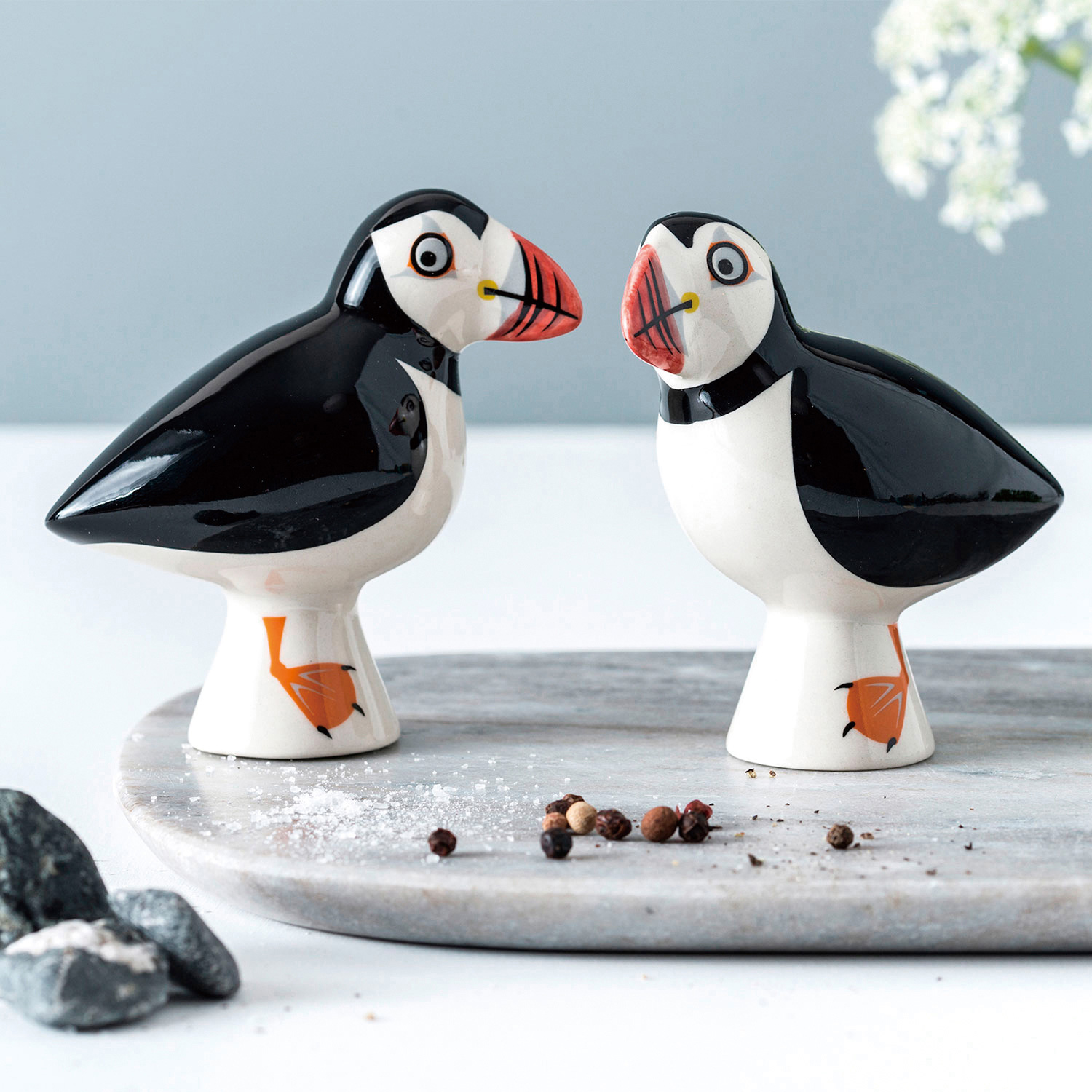 ニシツノメドリ